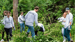 Ƶ students clearing brush for a service project.