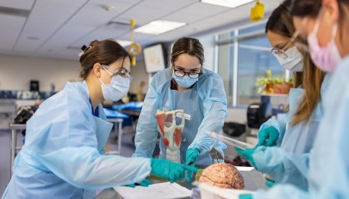 Ƶ students take a class in the anatomy lab.